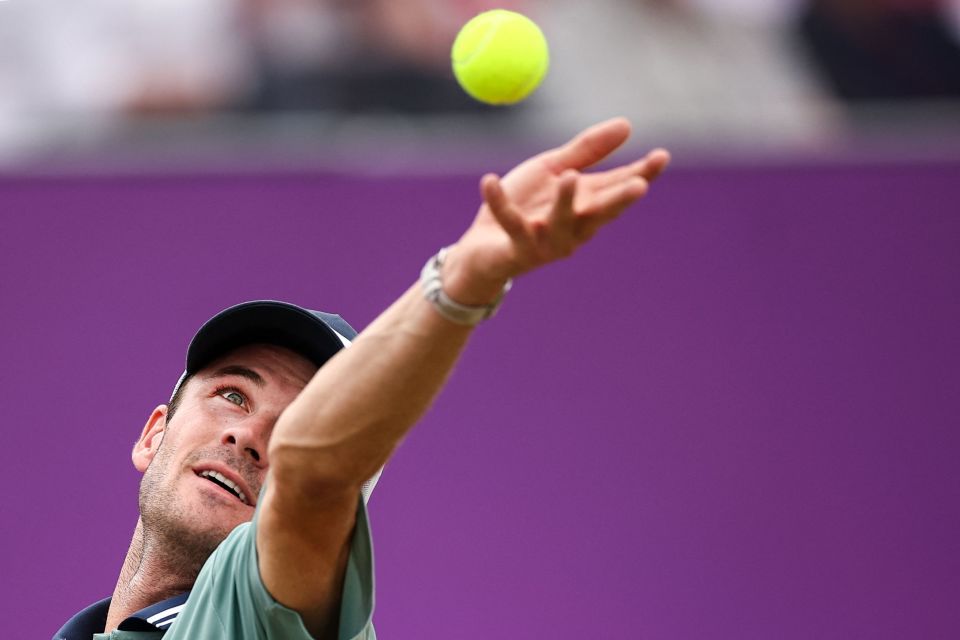 引进政策以 引进政策以