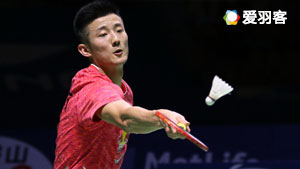 正确方向的 正确方向的