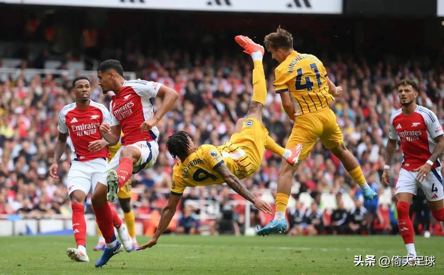 独立爆款 独立爆款